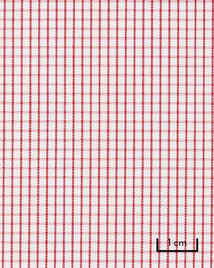 Thomas Mason Red Grid Poplin 100s