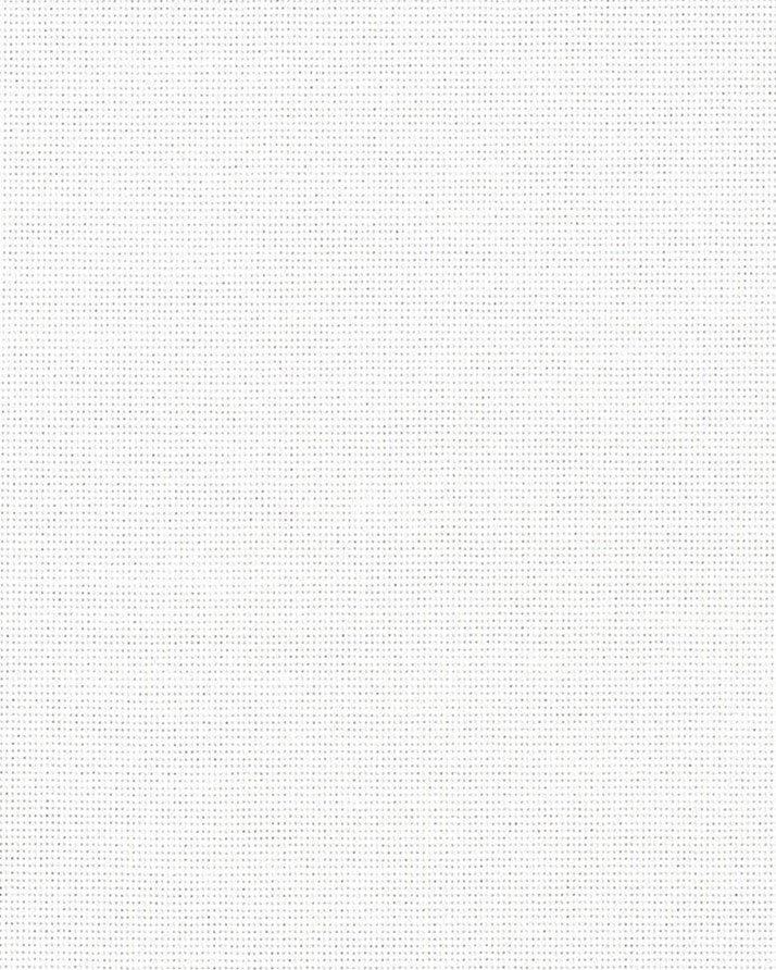Thomas Mason White Premium Oxford Cloth