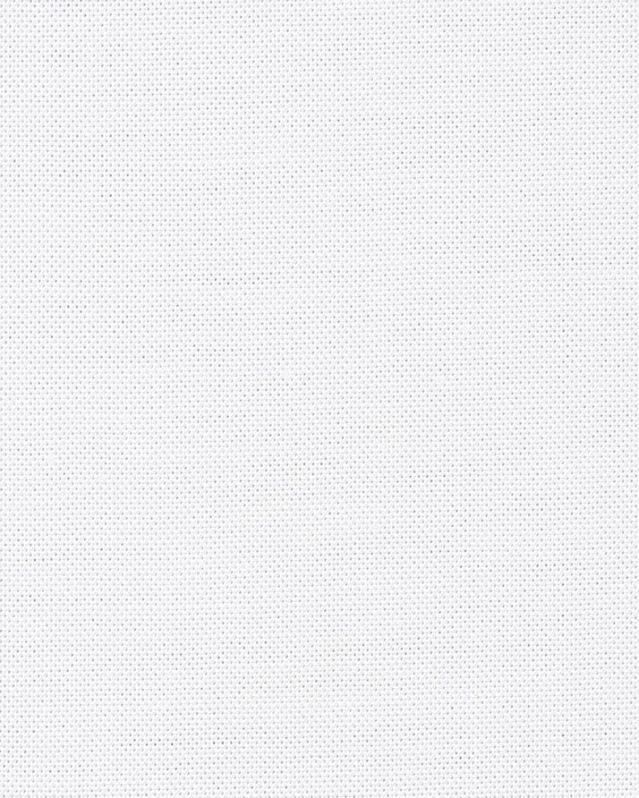 White American oxford cloth by Thomas Mason